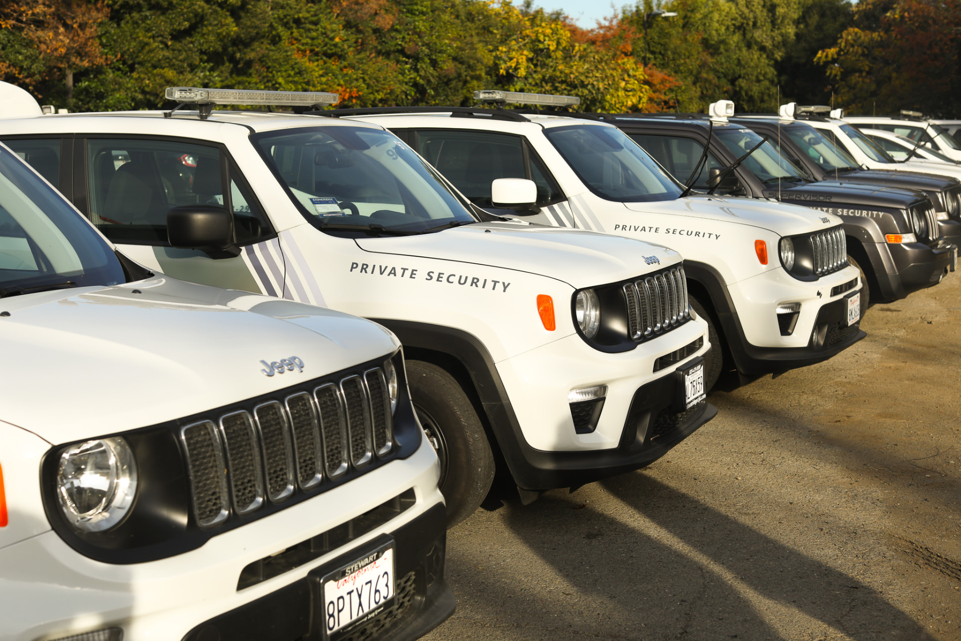 Every Vehicle, Always Professional. — Future Wash